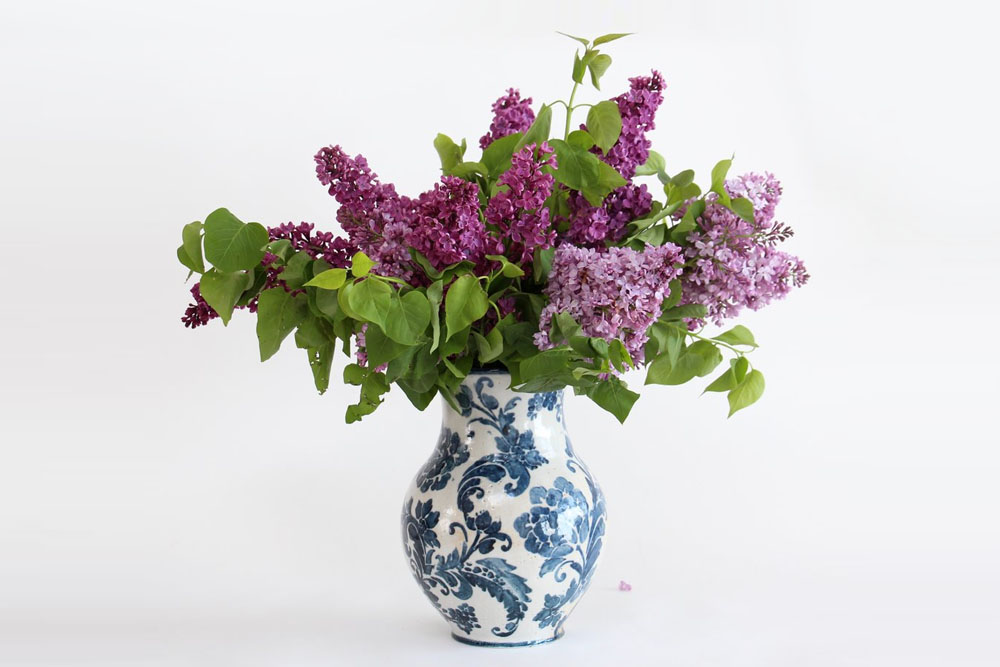 Cachepots & Vases