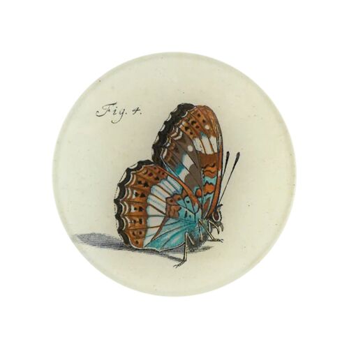  John Derian Decoupage Plate Papilionum Fig. 4
