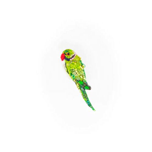 Artisan Brooch Pin Parrot