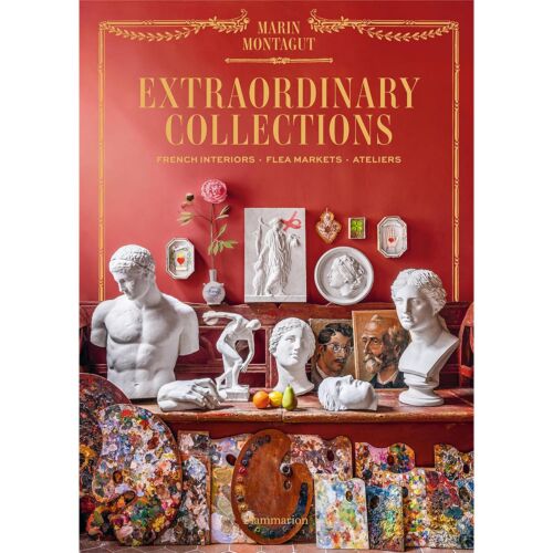 Book | Extraordinary Collections by Marin Montagut