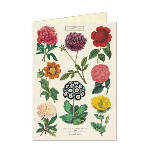Cavallini Stationery Botanica Greeting Card