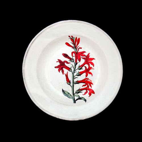 John Derian Floral Soup Plate Cardinal Flower