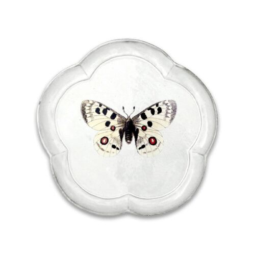 John Derian Butterfly Dinner Plate Apollo