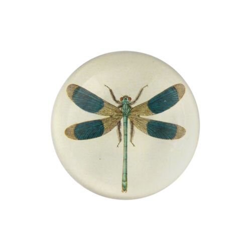  John Derian Decoupage Paperweight Dome Dragonfly