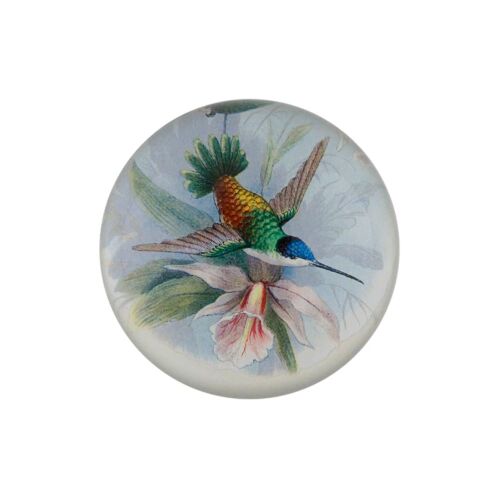  John Derian Decoupage Paperweight Dome Hummingbird Detail