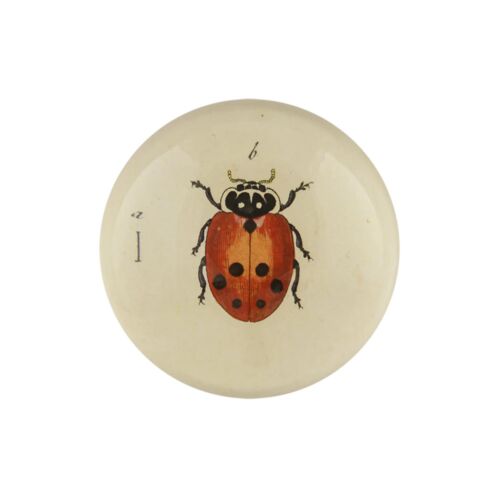  John Derian Decoupage Paperweight Dome Little Ladybug