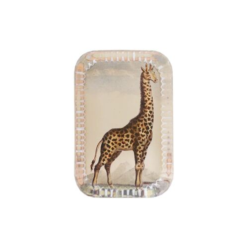  John Derian Decoupage Paperweight Dotted Edge Giraffe Pl. 290