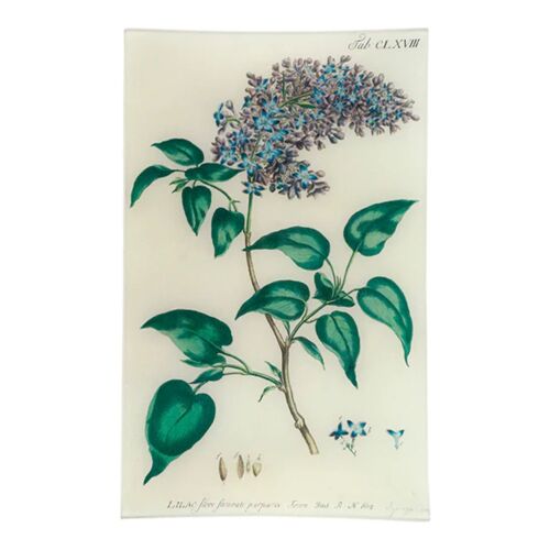  John Derian Decoupage Tray 10x16" Lilac