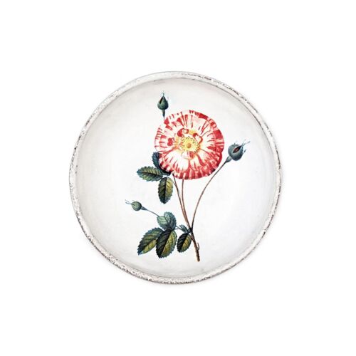 John Derian Floral Dish Rose Panachee