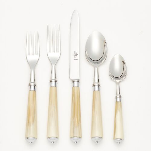 French Flatware Julia Light Horn Stainless 5-Piece Setting