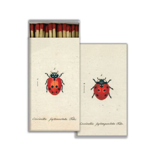 Match Box Little Lady Bug & Red Lady Bug