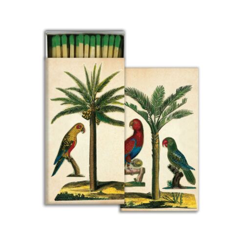 Match Box Palm & Parrot