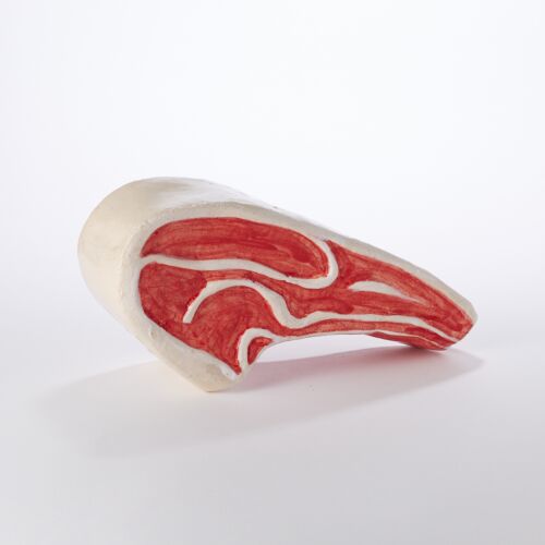 Ornament Painted Beef Rib