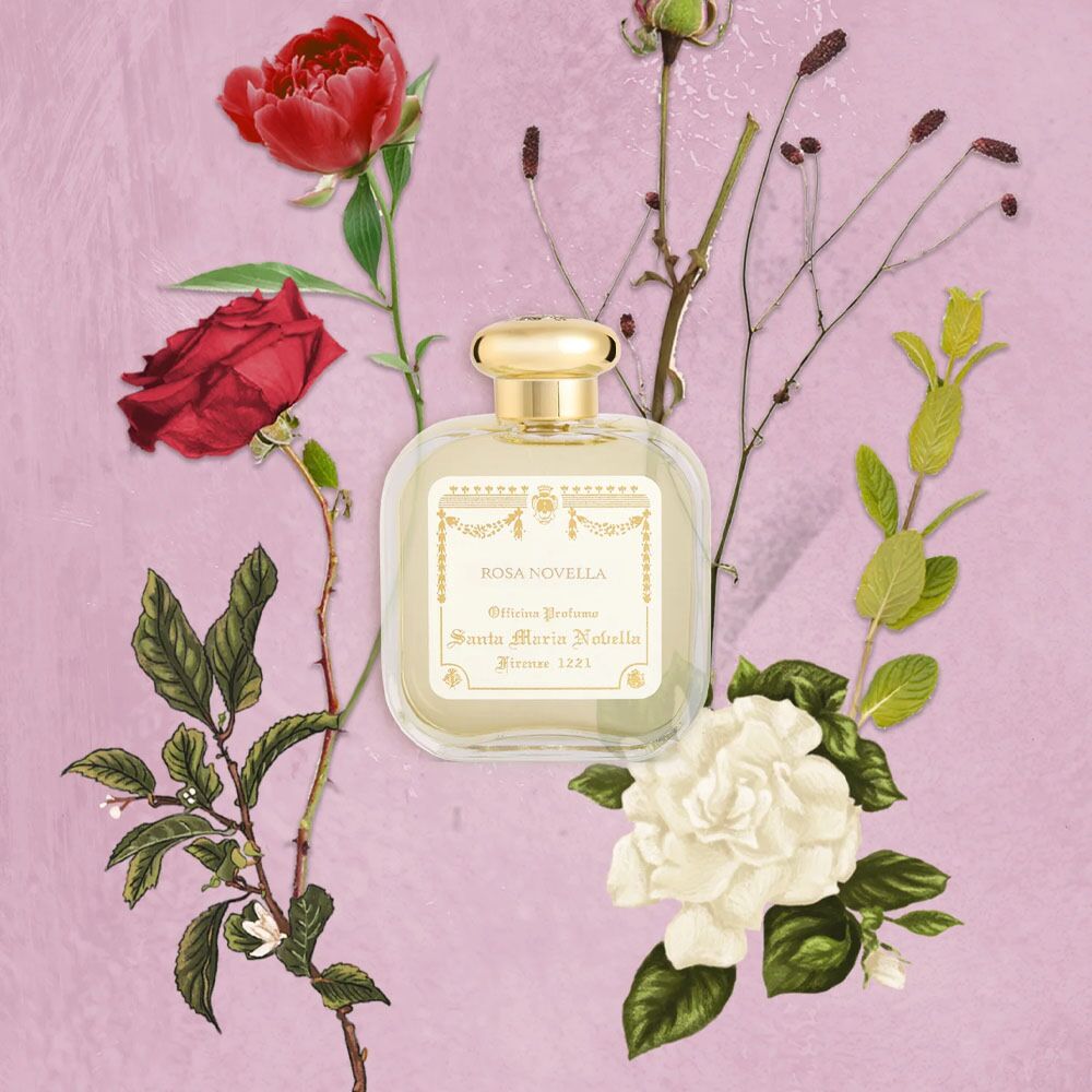 香水(女性用) Santa Maria Novella Rosa Novella 50ml Santa Maria Novella Rosa Novella Cologne 50ml