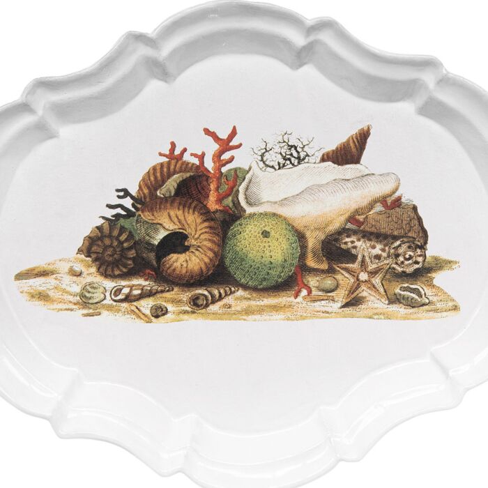 食器 astier John Derian Astier de Villatte x John Derian Arrow Platter – PATCH NYC