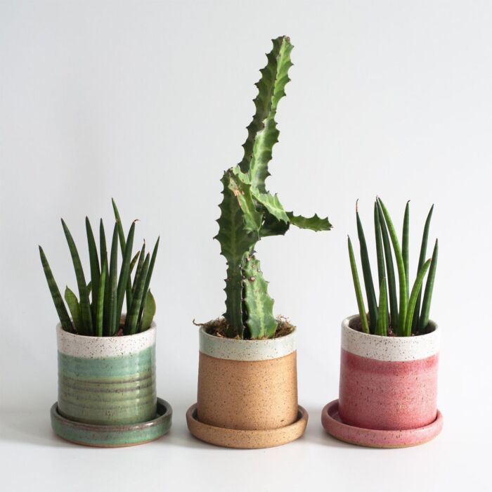 Rachael Pots Succulent Planter Tall Sage