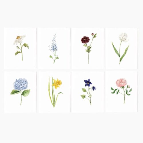  Emily Lex Garden Flowers Notecard Set/8
