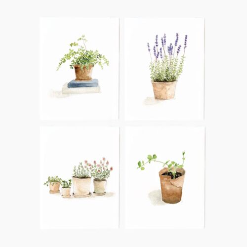   Emily Lex Potted Plants Assorted Notecard Set/8