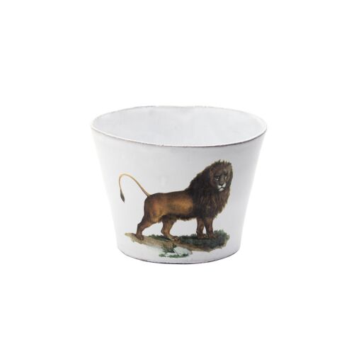   John Derian Leo Barbus Cup without Handle 