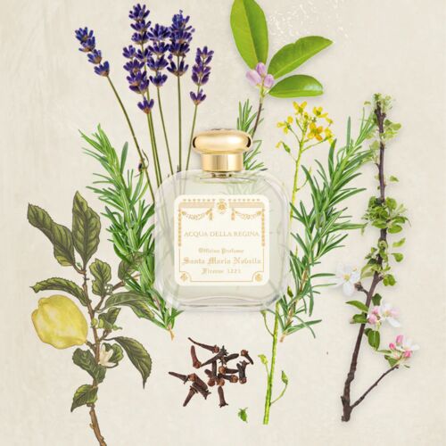 Santa Maria Novella Acqua della Regina Cologne