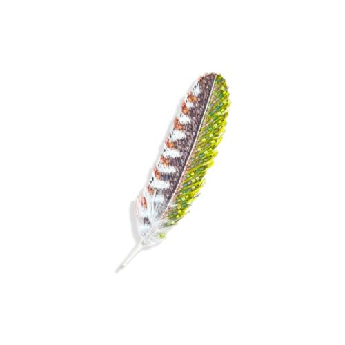 Artisan Brooch Pin Woodpecker Feather