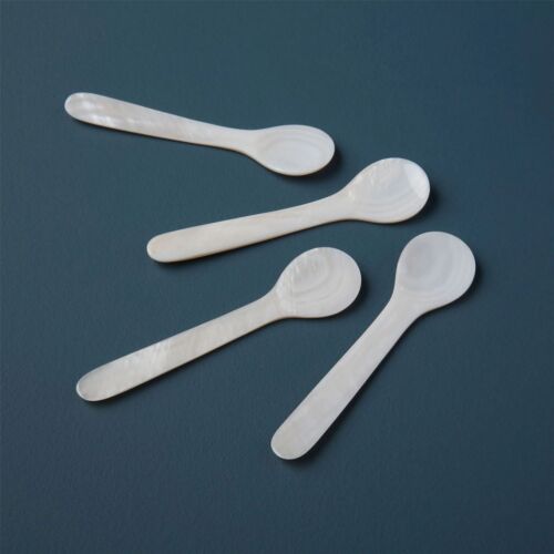 Artisan Seashell Spoon Set/4 Large