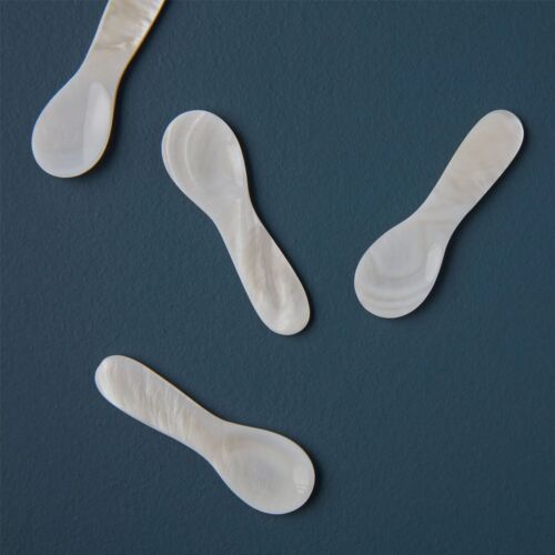 Artisan Seashell Spoon Set/4 Mini