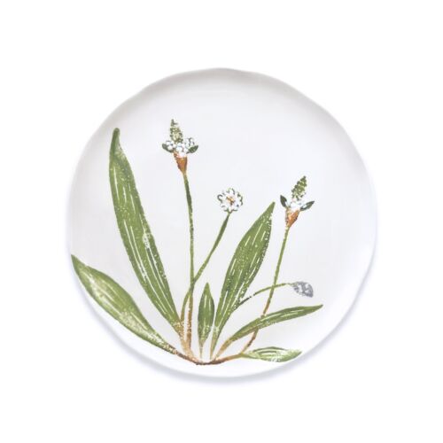   Au Bain Marie Plantago Dessert Plate