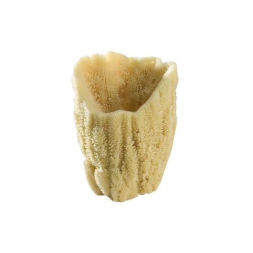 Baudelaire Vase Sponge Grand