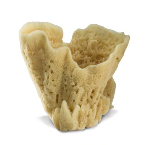 Baudelaire Vase Sponge Large