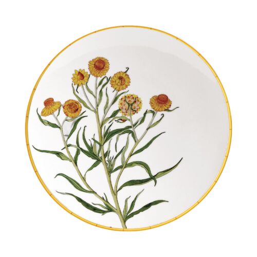 Bernardaud Jardin Indien Bergenis Dinner Plate
