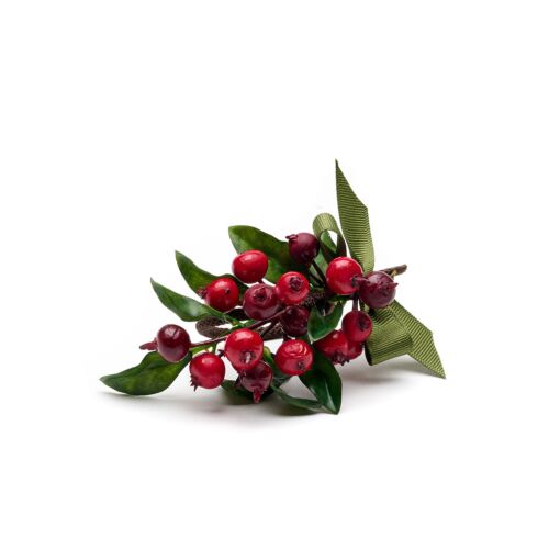 Deborah Rhodes Napkin Ring Berry Seed Swag Red