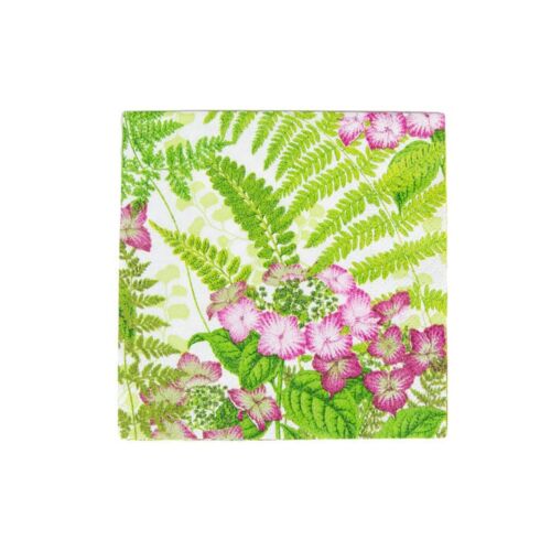 Caspari Paper Cocktail Napkin Pack/20 Fern Garden