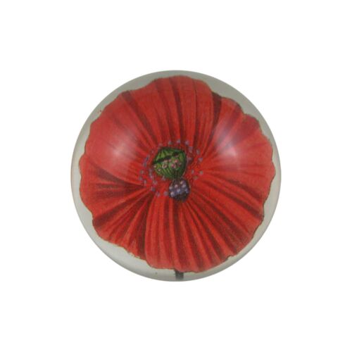  John Derian Decoupage Paperweight Dome Blood Poppy