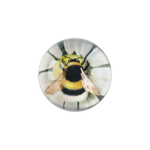 John Derian Decoupage Paperweight Dome Fuzzy Bee