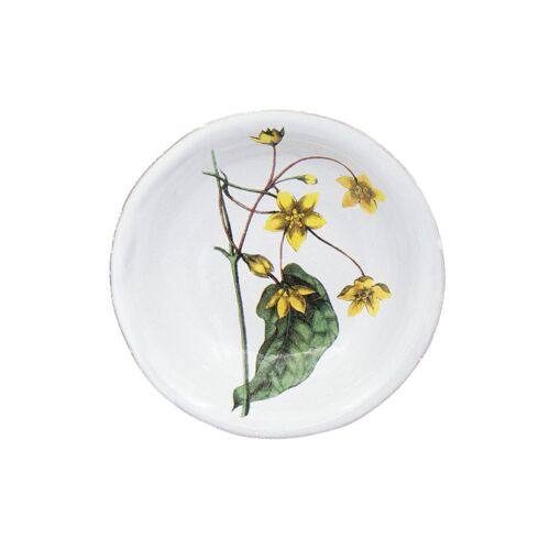   John Derian Dogbane Saucer