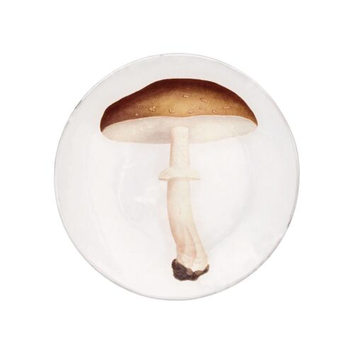 John Derian Mushroom Dinner Plate Agaric Blanc Fauve