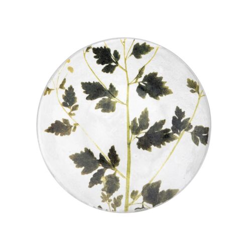 John Derian Botanical Plate Matricaria
