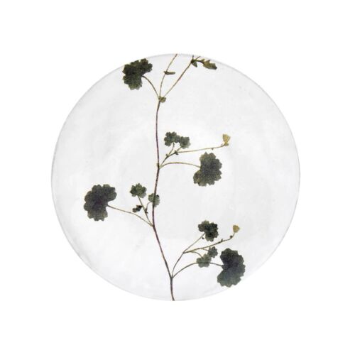 John Derian Botanical Plate Othona