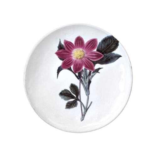 John Derian Floral Dinner Plate Pink Flower