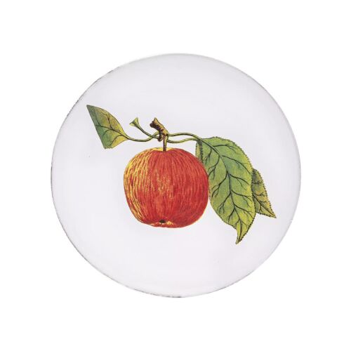 John Derian Harvest Plate Red Apple