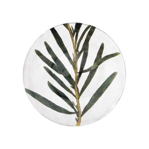 John Derian Botanical Plate Reseda