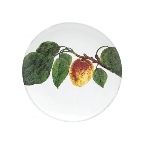 Astier John Derian Harvest Plate Spotted Plum