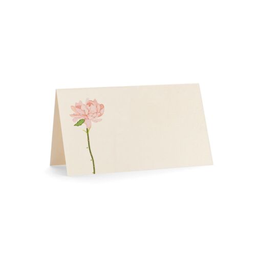 Karen Adams Place Card Set/10 All in Bloom