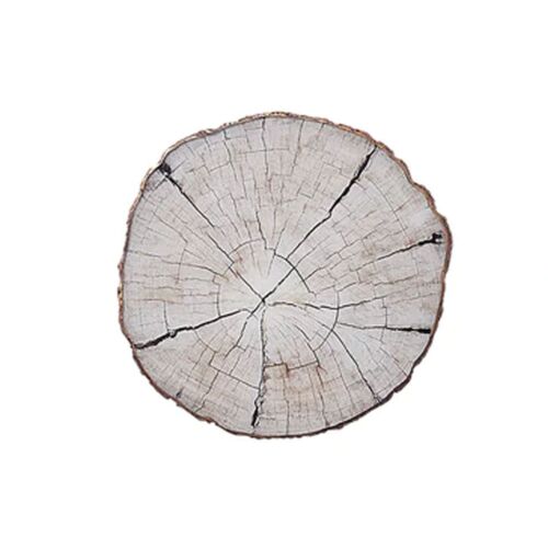 Kim Seybert Coaster Birch