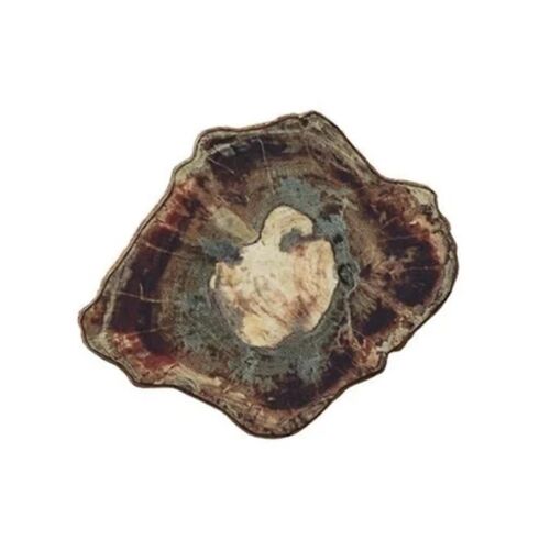 Kim Seybert Coaster Fossil