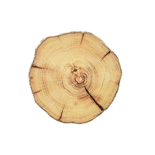 Kim Seybert Coaster Woodland