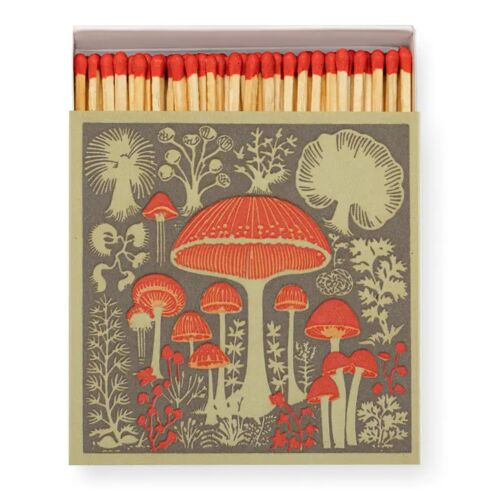 Matchbox Mushrooms