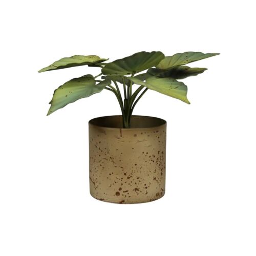 Pot with Green Leaves