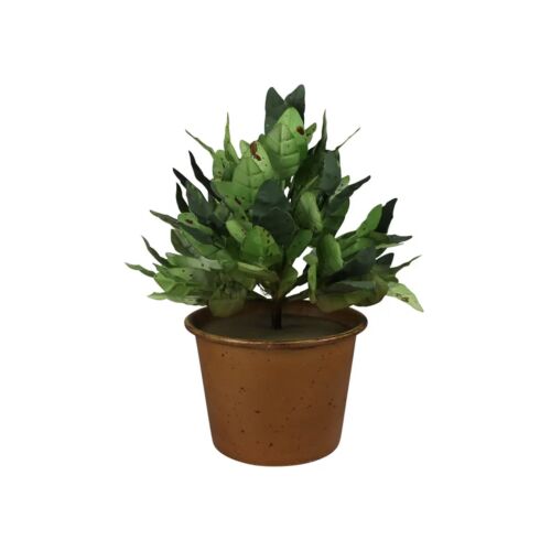 Potted Greens